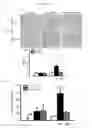 Fig. 35 - Methods and compositions for treating kidney disorders