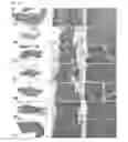 Fig. 16 - COMPOSITION FOR TREATING DIABETES, CONTAINING EXTRACT OF YUKMIJIHWANGTANG