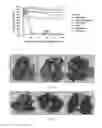 Fig. 03 - Compositions and methods for the treatment of cancer