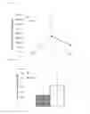 Fig. 02 - COMPOSITIONS AND METHODS OF USE OF -HYDROXY-METHYLBUTYRATE (HMB) RESULTING IN AN ACUTE ENDOCRINE RESPONSE