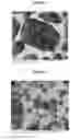 Fig. 04 - Microcapsules containing an oxidizable active, and a process for preparing the same