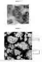 Fig. 05 - Microcapsules containing an oxidizable active, and a process for preparing the same