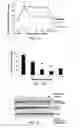 Fig. 02 - Methods and compositions for the treatment of proliferative vascular disorders