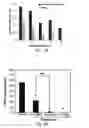Fig. 03 - Methods and compositions for the treatment of proliferative vascular disorders