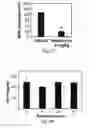 Fig. 08 - Methods and compositions for the treatment of proliferative vascular disorders