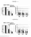 Fig. 02 - METHODS OF PREVENTING THE DEVELOPMENT OF MUCOSITIS AND RELATED DISORDERS