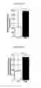 Fig. 06 - METHODS OF PREVENTING THE DEVELOPMENT OF MUCOSITIS AND RELATED DISORDERS