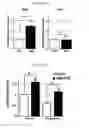 Fig. 08 - METHODS OF PREVENTING THE DEVELOPMENT OF MUCOSITIS AND RELATED DISORDERS