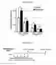 Fig. 09 - METHODS OF PREVENTING THE DEVELOPMENT OF MUCOSITIS AND RELATED DISORDERS