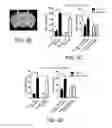 Fig. 12 - Method of improving cognition and social behavior in humans having deficits therein due to neurodegenerative disorders and compounds and compositions therefor