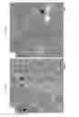 Fig. 05 - Polyhydroxylated bile acids for treatment of biliary disorders