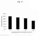 Fig. 12 - ANTITUMOR AGENT