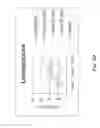 Fig. 15 - Compounds, compositions and methods using E-selectin antagonists for mobilization of hematopoietic cells