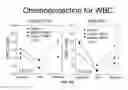 Fig. 03 - ADMINISTRATION OF A THIOL-BASED CHEMOPROTECTANT COMPOUND