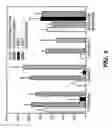 Fig. 08 - ADMINISTRATION OF A THIOL-BASED CHEMOPROTECTANT COMPOUND
