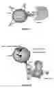 Fig. 02 - Methods for engineering T cells for immunotherapy by using RNA-guided CAS nuclease system