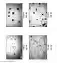 Fig. 06 - Method for isolation and purification of microvesicles from cell culture supernatants and biological fluids