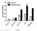 Fig. 02 - MANAGEMENT OF OSTEOARTHRITIS USING POOLED ALLOGENEIC MESENCHYMAL STEM CELLS