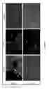 Fig. 08 - MANAGEMENT OF OSTEOARTHRITIS USING POOLED ALLOGENEIC MESENCHYMAL STEM CELLS