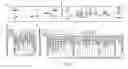 Fig. 04 - Placenta-derived multipotent stem cells