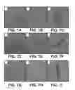 Fig. 10 - UMBILICAL CORD AMNIOTIC MEMBRANE PRODUCTS