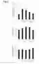 Fig. 03 - Method for Promoting Respiratory Burst Activity Promoter and Immunostimulating in Type 2 Diabetic Patients