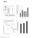 Fig. 05 - Method for Promoting Respiratory Burst Activity Promoter and Immunostimulating in Type 2 Diabetic Patients