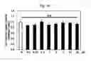 Fig. 05 - Peptide having ability to synthesize collagen and use thereof
