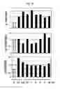 Fig. 08 - Peptide having ability to synthesize collagen and use thereof