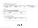 Fig. 02 - TREATMENT OF GRAFT REJECTION BY ADMINISTERING A COMPLEMENT INHIBITOR TO AN ORGAN PRIOR TO TRANSPLANT