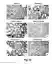 Fig. 19 - TREATMENT OF GRAFT REJECTION BY ADMINISTERING A COMPLEMENT INHIBITOR TO AN ORGAN PRIOR TO TRANSPLANT