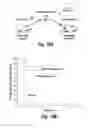 Fig. 20 - TREATMENT OF GRAFT REJECTION BY ADMINISTERING A COMPLEMENT INHIBITOR TO AN ORGAN PRIOR TO TRANSPLANT