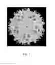 Fig. 02 - Adeno-associated virus virions with variant capsid and methods of use thereof