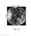 Fig. 07 - Adeno-associated virus virions with variant capsid and methods of use thereof