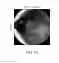 Fig. 08 - Adeno-associated virus virions with variant capsid and methods of use thereof