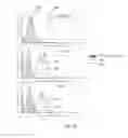 Fig. 23 - Method to functionalize cells in human blood, other fluids and tissues using nanoparticles