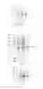 Fig. 06 - Human originated EGF domain proteins and use of the same