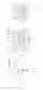 Fig. 07 - Human originated EGF domain proteins and use of the same