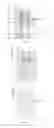 Fig. 08 - Human originated EGF domain proteins and use of the same