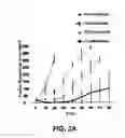 Fig. 03 - Targeted cargo protein combination therapy