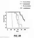 Fig. 04 - Targeted cargo protein combination therapy