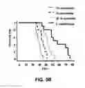 Fig. 06 - Targeted cargo protein combination therapy