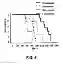 Fig. 07 - Targeted cargo protein combination therapy