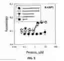 Fig. 06 - NON-AGGLOMERATING BIOCONJUGATES OF AMYLIN AND AMYLIN-MIMETIC COMPOUNDS, COMPOSITIONS COMPRISING THE SAME, AND MAKING AND USE THEREOF