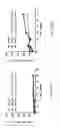 Fig. 16 - NON-AGGLOMERATING BIOCONJUGATES OF AMYLIN AND AMYLIN-MIMETIC COMPOUNDS, COMPOSITIONS COMPRISING THE SAME, AND MAKING AND USE THEREOF