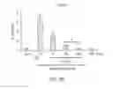Fig. 07 - Use of proinsulin for immune system modulation
