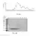 Fig. 35 - Use of proinsulin for immune system modulation