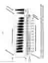 Fig. 08 - TREATMENT OF COAGULATION DISEASE BY ADMINISTRATION OF RECOMBINANT VWF