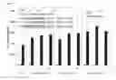 Fig. 06 - NOVEL HEMOGLOBIN-DERIVED PEPTIDE BASED PHARMACEUTICAL COMPOSITIONS
