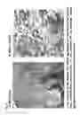 Fig. 26 - NOVEL HEMOGLOBIN-DERIVED PEPTIDE BASED PHARMACEUTICAL COMPOSITIONS